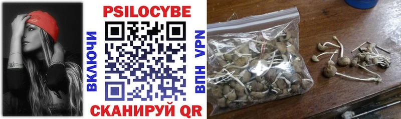 Псилоцибиновые грибы Psilocybe  Азов 